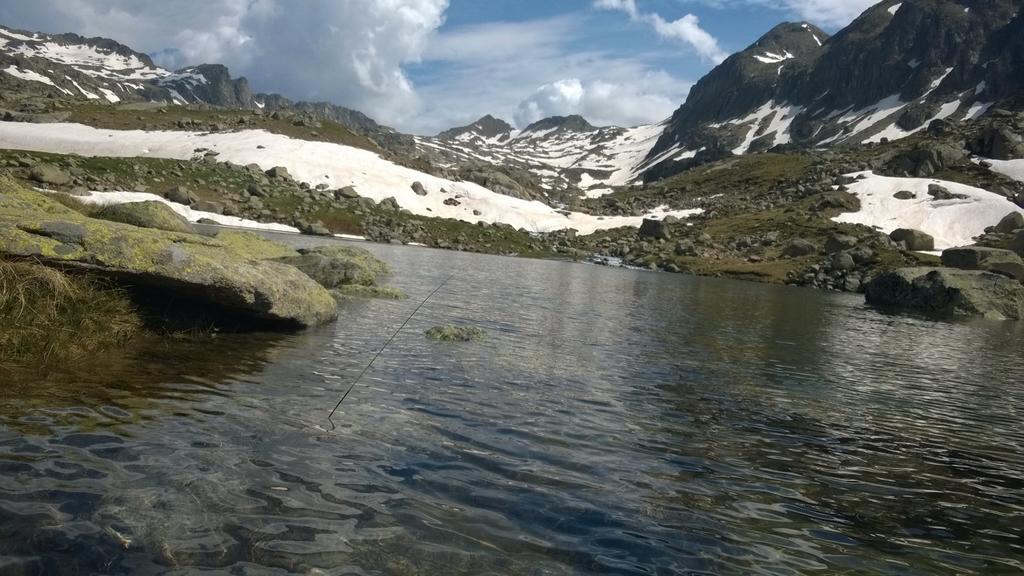 Ferienwohnung La Faiada El Pont de Suert Exterior foto